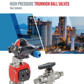 NEW Ham-Let Trunnion Ball Valves